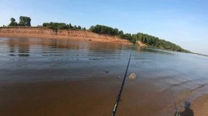 Рыбалка на Вятке в июне. На фидер. Оричевский район.