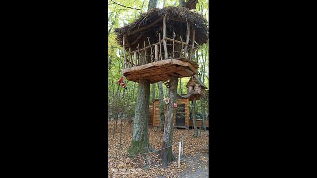 динопарк смотреть онлайн