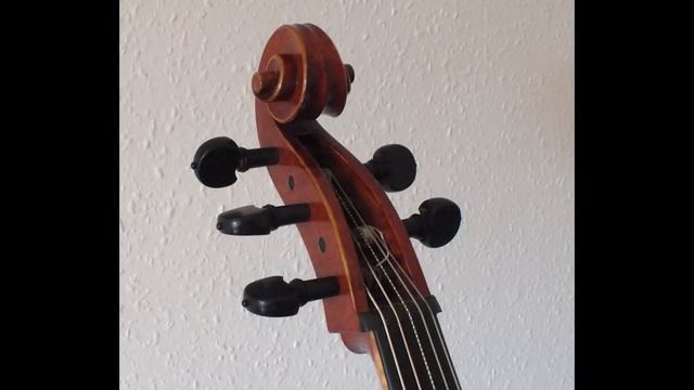 5 String Baroque Cello for Sale смотреть онлайн