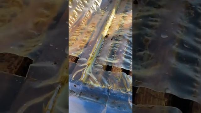 Увеличил пасеку в сентябре в 2 раза , легко ! смотреть онлайн