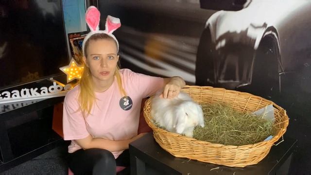 АНТИСТРЕСС КРОЛИКИ ! САМАЯ ПУШИСТАЯ ПОРОДА В МИРЕ ! СПОКОЙСТВИЕ И ТОЛЬКО СПОКОЙСТВИЕ смотреть онлайн