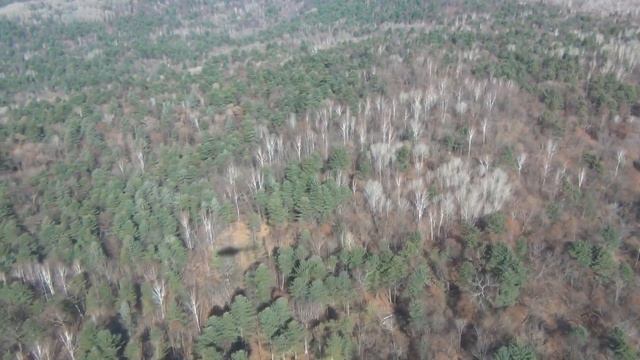 Спасатели ведут поиск пропавшего мужчины в районе п. Кукан Хабаровского края смотреть онлайн
