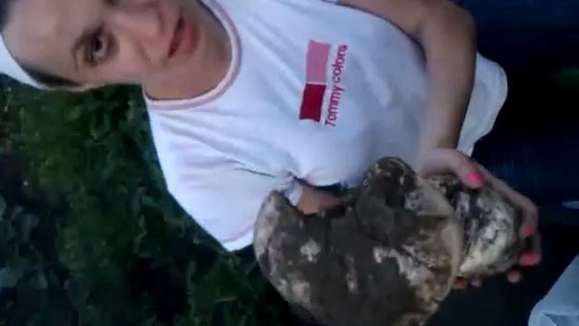 Гигантские шампиньоны 1100гр смотреть онлайн