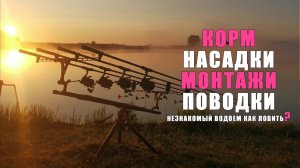 КАРПФИШИНГ. Как ловить карпа на незнакомом водоеме? Понятно о карпфишинге