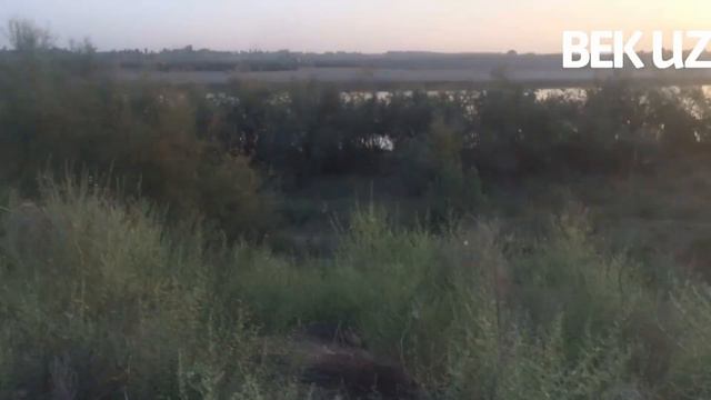 Daryoni to’sishmoqchi. смотреть онлайн