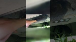 Как сохранить ВИН номер на раме  авто