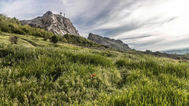 Quran 19: Surah Maryam. Maryam Surasi