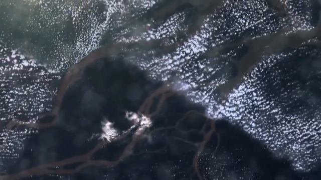 Как могут выглядеть существа с других планет ? смотреть онлайн