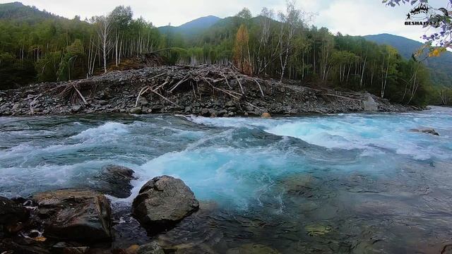 Река где рыбачит Путин/Самая секретная база на АЛТАЕ/Опасная рыбалка на реке СУМУЛЬТА смотреть онлайн