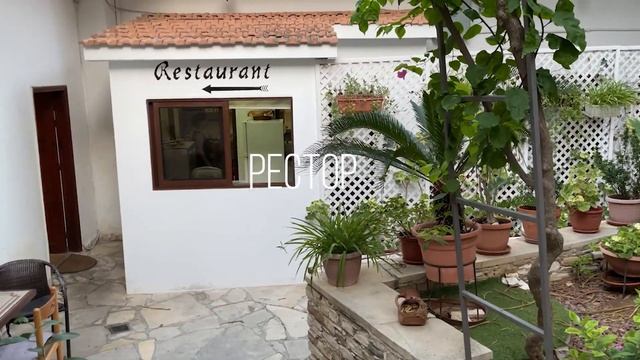 Ларнака. Шо почём? Соленое озеро и самый большой аквапарк Кипра. смотреть онлайн