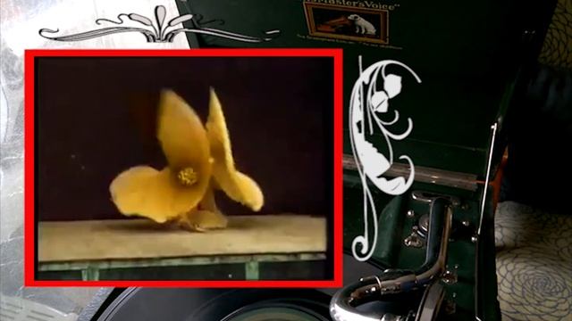 Jaj Mamam! (из оперетты «Короле́ва ча́рдаша» ("Сильва") И. Кальмана смотреть онлайн