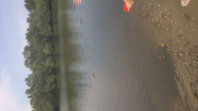 Нашли самого большого моллюска в мире!