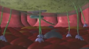 Кишечная инфекция – что это?