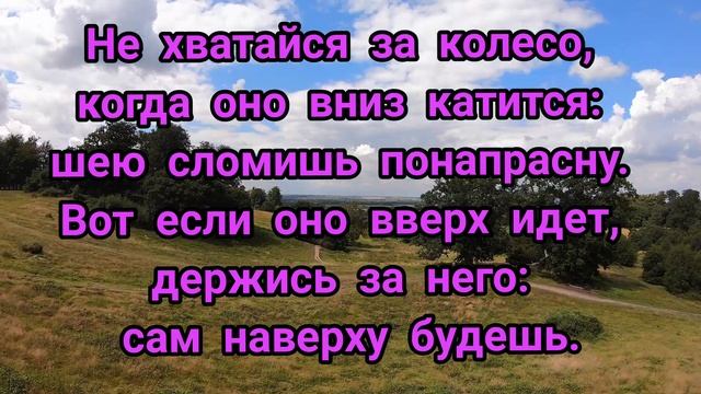 Цитаты Шекспира смотреть онлайн