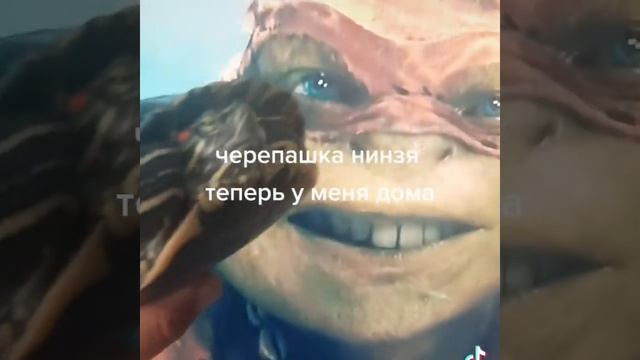 Черепашка нинзя