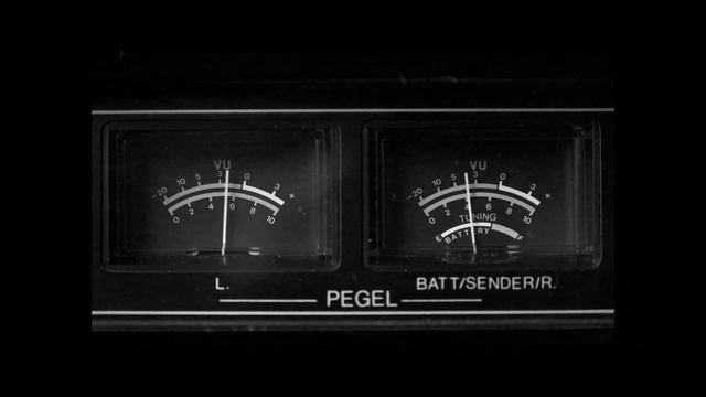 Dead Cat logo presentation смотреть онлайн