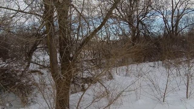 НУ ЗАЯЦ ПОГОДИ!!!/ПОГОНЯЛИ НАС УШАСТЫЕ/ЛЫЖИ ДЫМИЛИСЬ/ЧУТЬ НЕ СБИЛ МЕНЯ НА НОМЕРЕ/ОХОТА НА ЗАЙЦА 202 смотреть онлайн