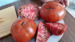 Томаты гномы! Новинки в проекте! Сорт гном "Махагон". Описание сорта