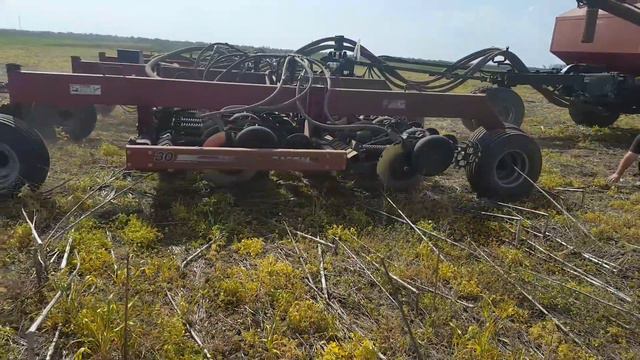 No-till. Посев сорго . 6 мая 2017 смотреть онлайн