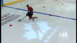 Школа канадского хоккея, диск №2. Владение шайбой