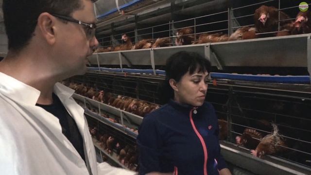 Изучаем оборудование птицефабрики на 5000 голов