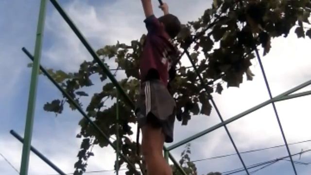 Мои подтягивания утром! смотреть онлайн