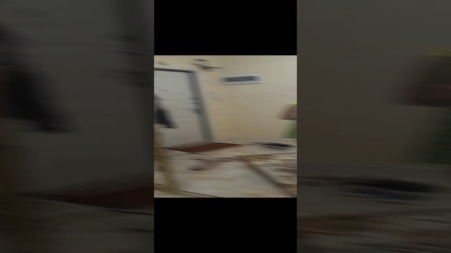 красимся смотреть онлайн