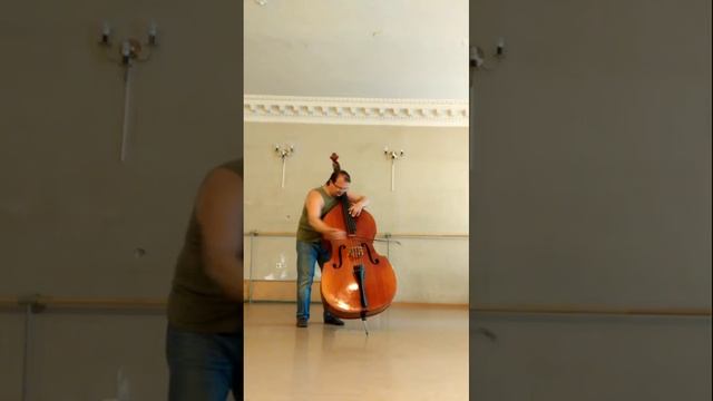 "Аллеманда" и "Куранта" из ll-й сюиты И.С.Баха.(1) смотреть онлайн