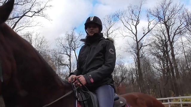 Уроки верховой езды. Галоп. Упражнения для всадника. смотреть онлайн