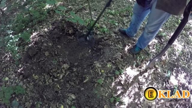 Ищу клад, коп в лесу возле старого многовекового дуба Skilur