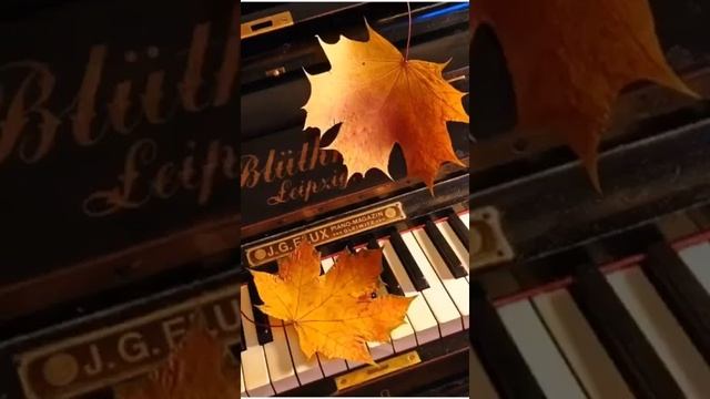 Здравствуй осень, мы тебя попросим смотреть онлайн