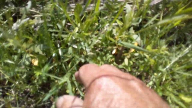 Наливаю воды для полива огорода