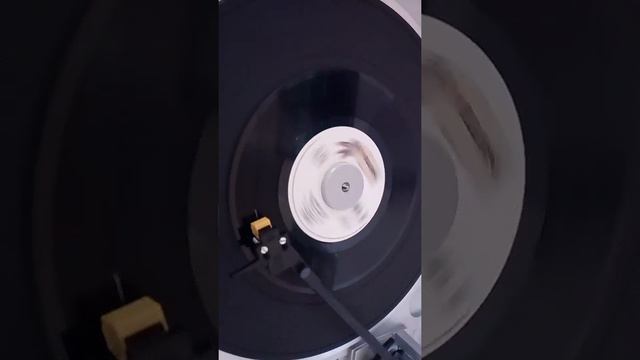 Riccardo Fogli - Tempi Andati смотреть онлайн
