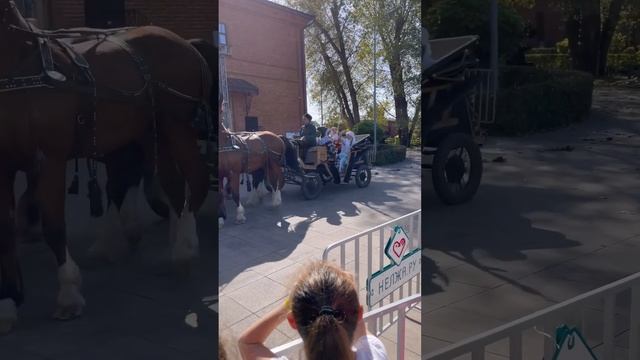 13 октября 2023 г. смотреть онлайн