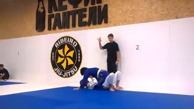 Ribeiro Russia BJJ contest SEMIFINAL (64kg) смотреть онлайн