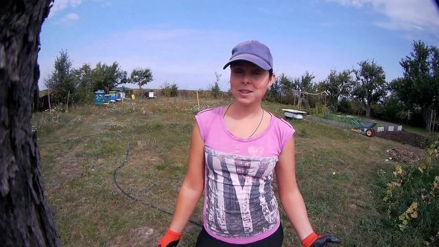 ВАЖНОЕ ОБЪЯВЛЕНИЕ // ДЕРЕВЕНСКИЕ БУДНИ смотреть онлайн