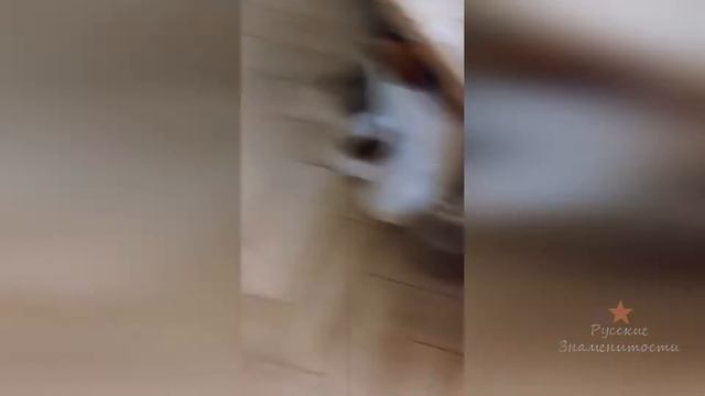 Мария Берсенева и попугайчик смотреть онлайн