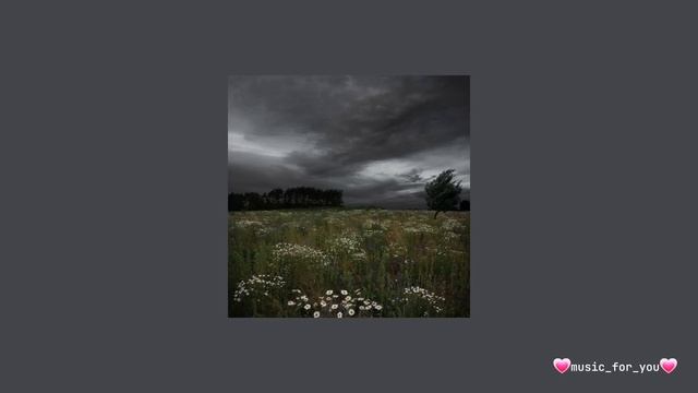 Another quiet night ? смотреть онлайн