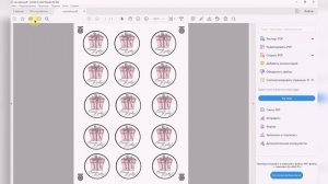 Активация функции Print to Cut на плоттере ScanNCut sdx 1200 от Brother