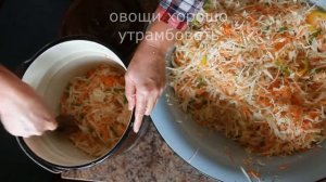 Квашеная капуста с болгарским перцем. Заготовка на зиму!!!