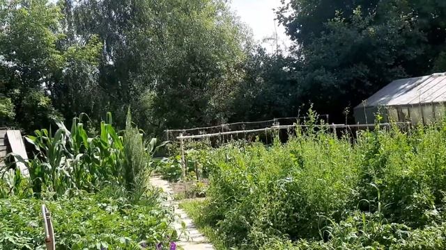 Окончание истории о ремонте моего телефона. Отзыв о сервисе Скороход. смотреть онлайн