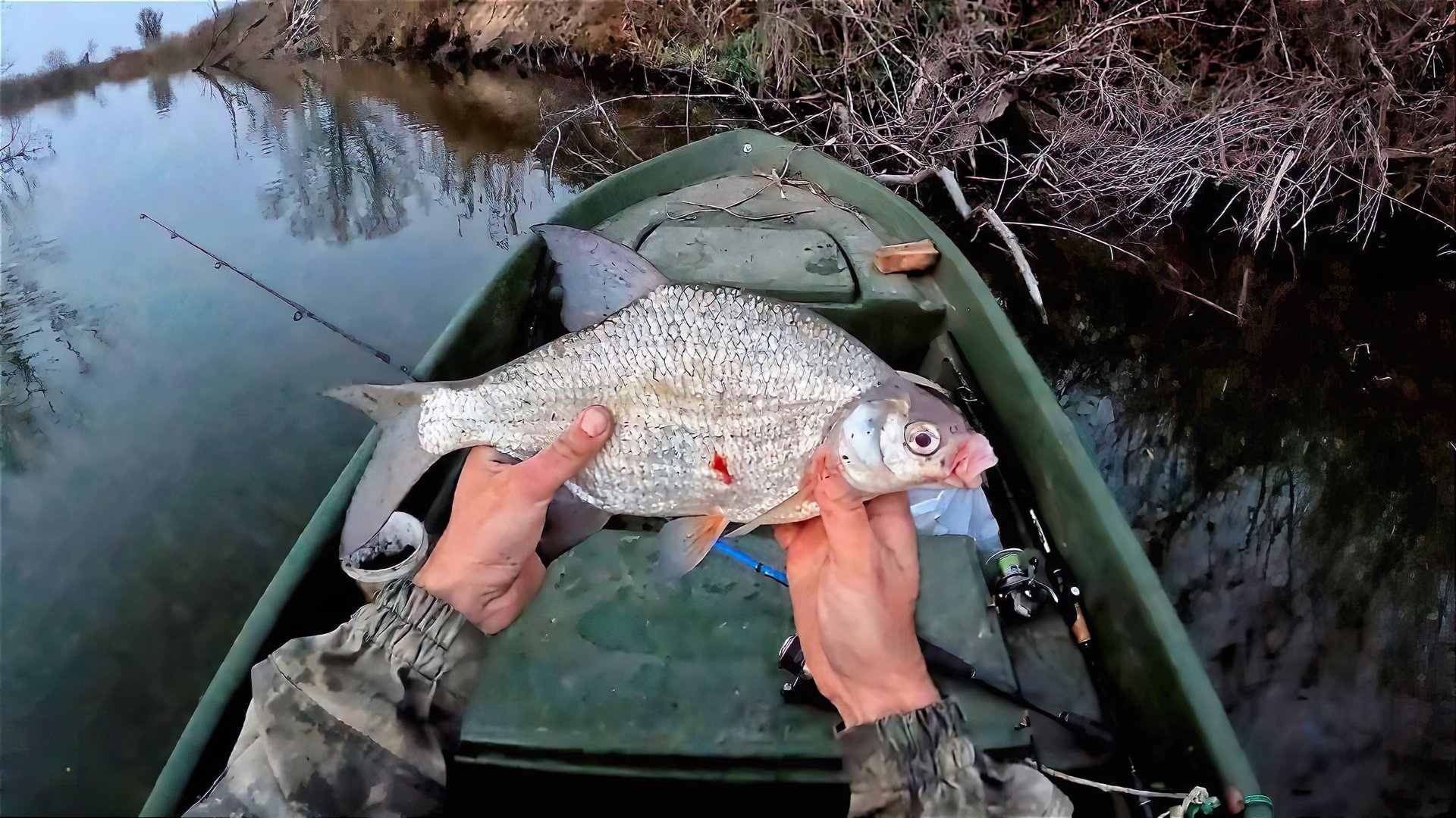ГИГАНСТКАЯ ГУСТЕРА (БОРА) И СОМЫ НА ПРОСТУЮ ДОНКУ. НОЧНАЯ РЫБАЛКА С ЛОДКИ. Федя передает привет! смотреть онлайн