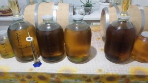 Сливаем плинтусовку с дубовых бочек,что дальше!!??