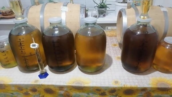 Сливаем плинтусовку с дубовых бочек,что дальше!!??