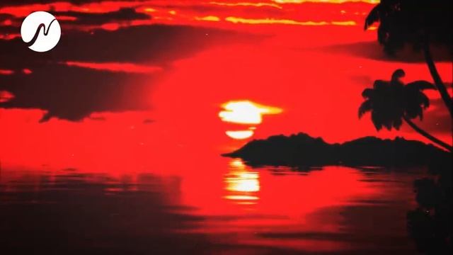 Heilende Musik - 654 Hz - Harmonisierung der Bauchspeicheldrüse смотреть онлайн