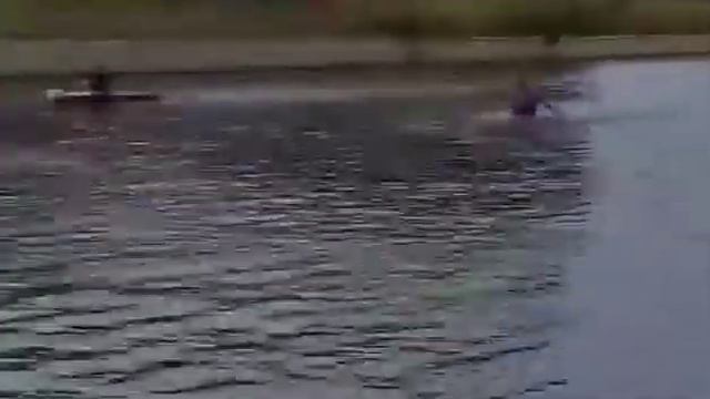 Ренат псих? смотреть онлайн