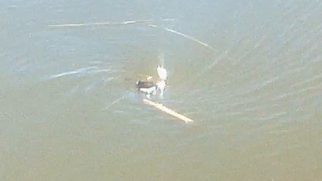 Половодье смотреть онлайн