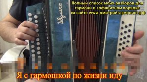 Вы любите гармонь разбор