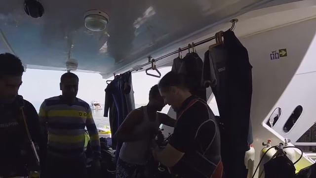 Дайвинг и йога на Красном море смотреть онлайн