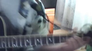 Трофим - Красное, чёрное, ноль